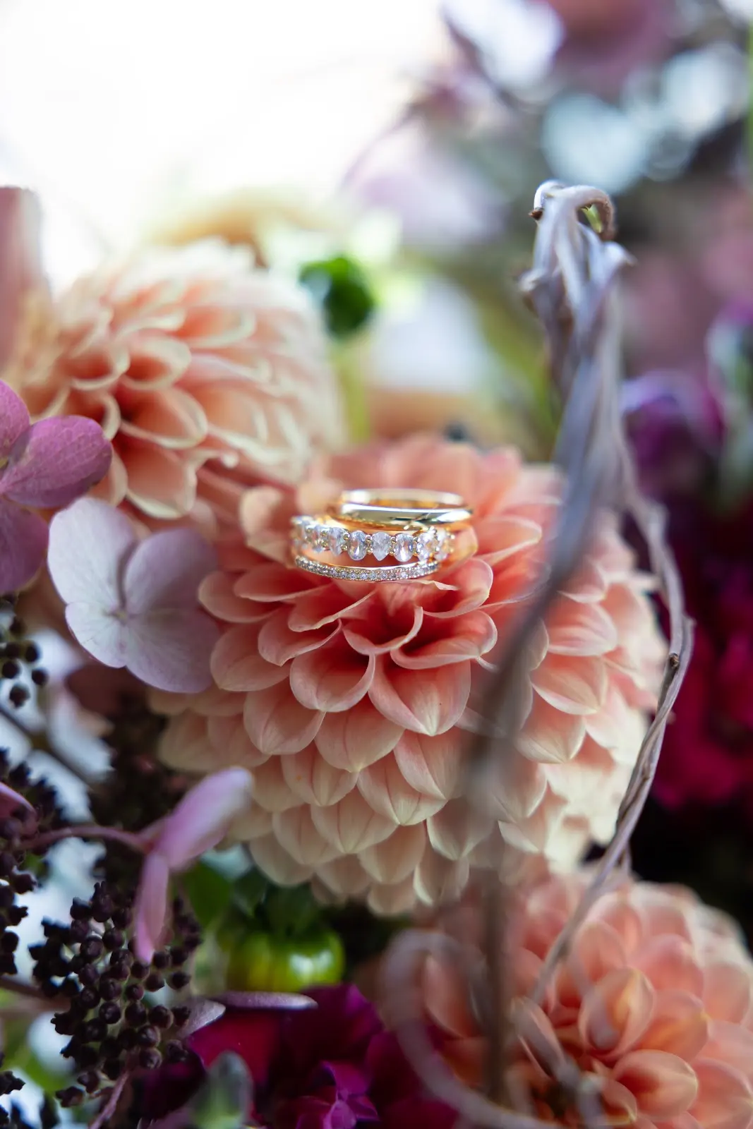 rings on a flower